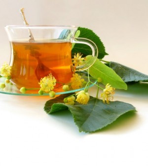 tea_lime-flower